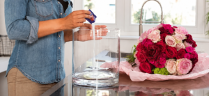 vibrant hydrangeas in a vase